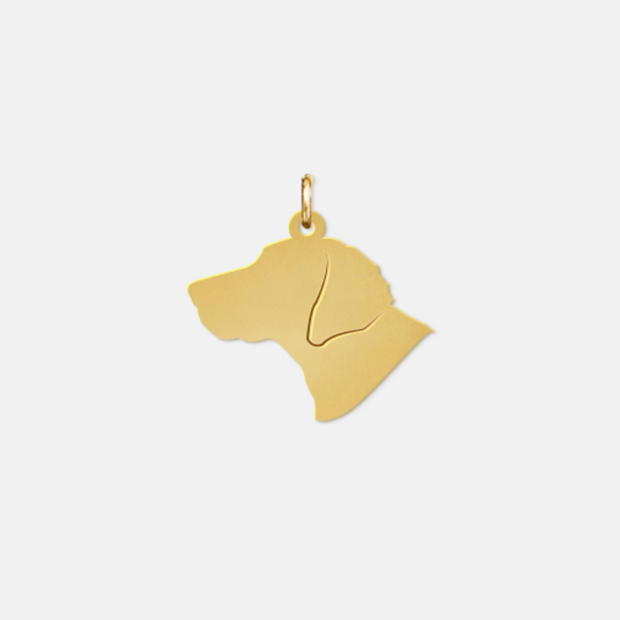 Stock Pet Charm - Medium