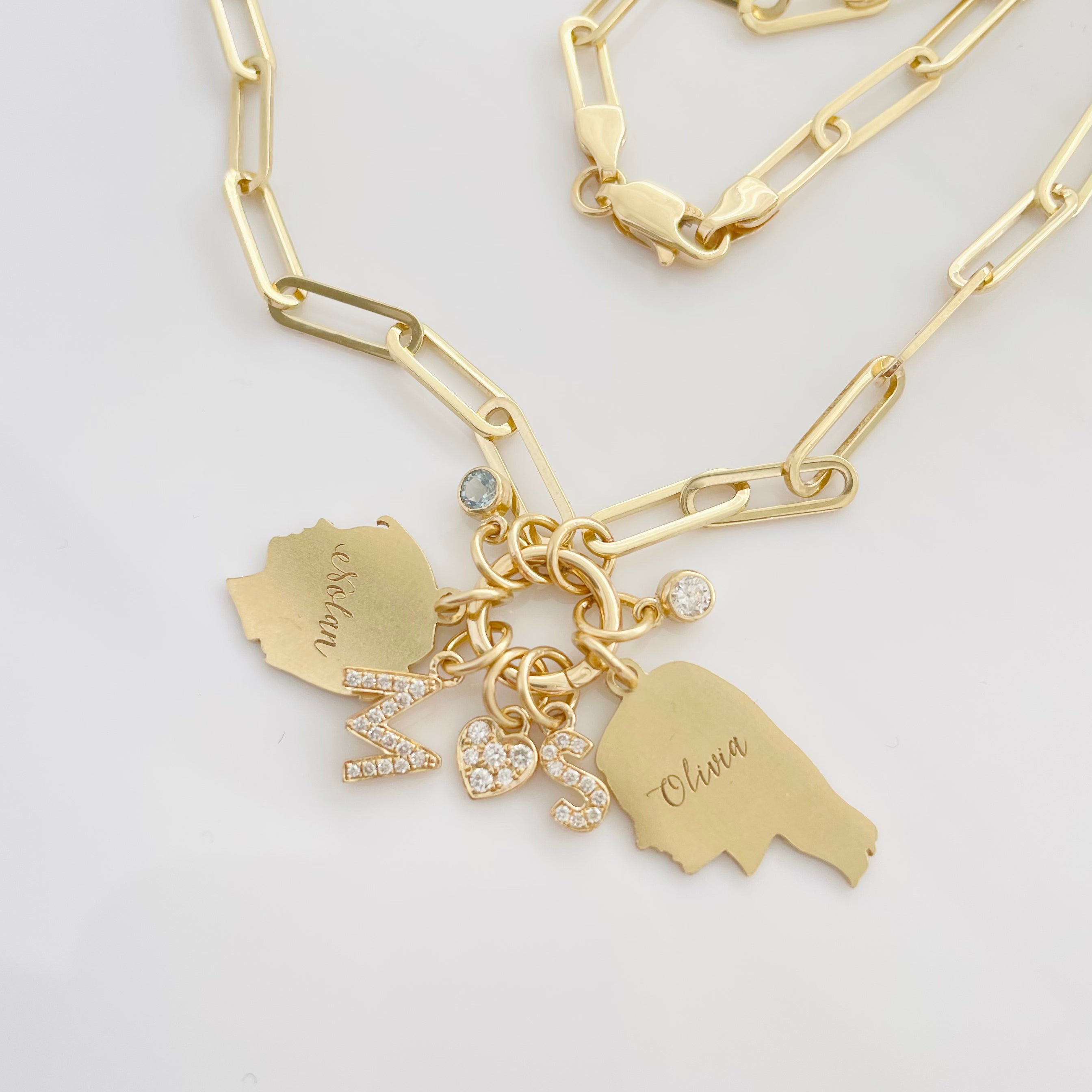 Heavy Weight Paperclip Chain Necklace with Charm Holder