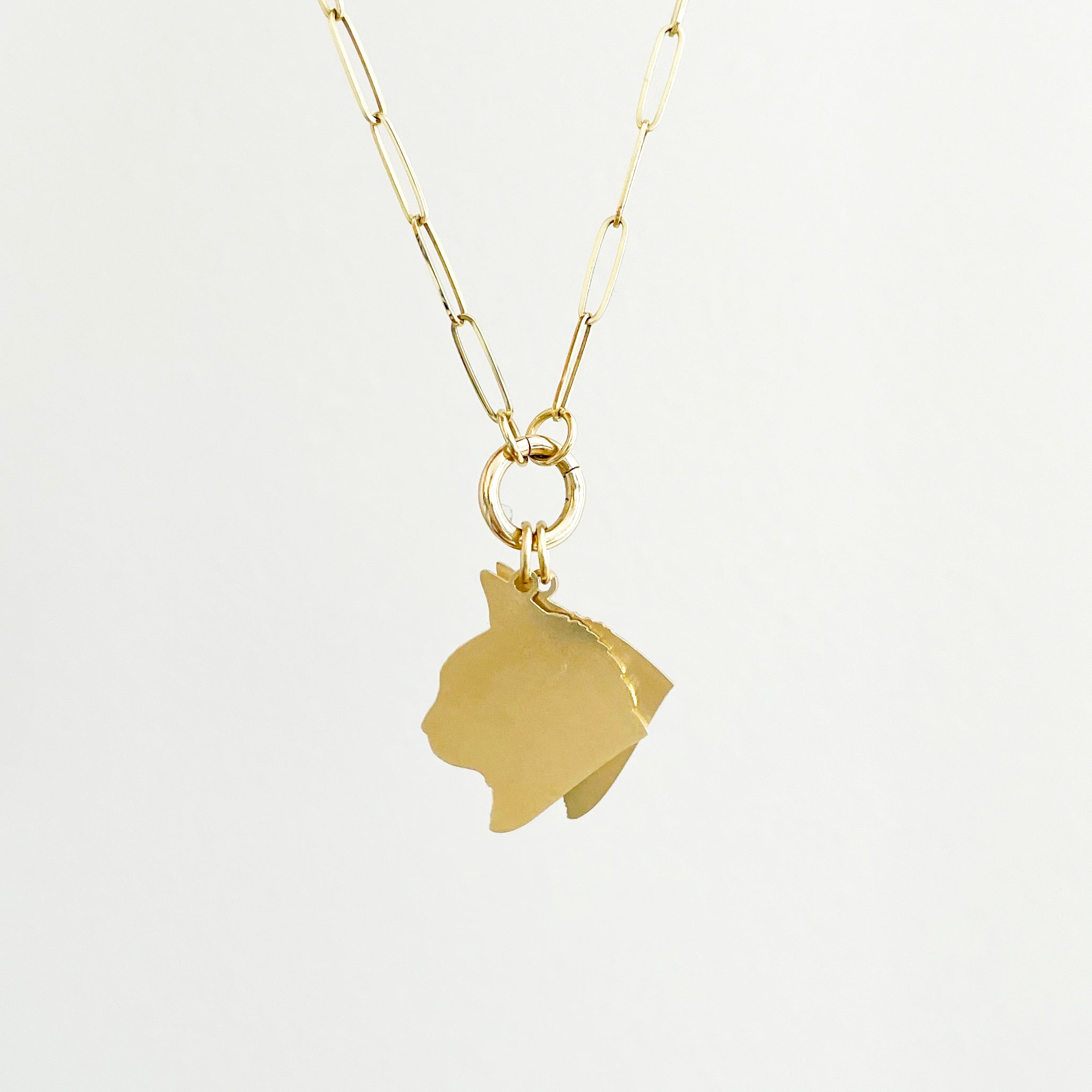 Custom Pet Charm Necklace - Large