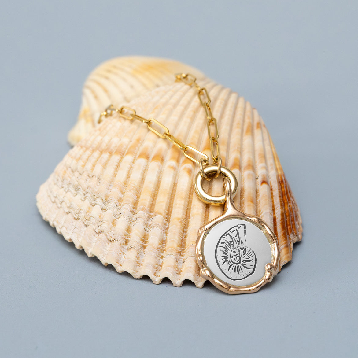 Marin Medallion - Snail Shell