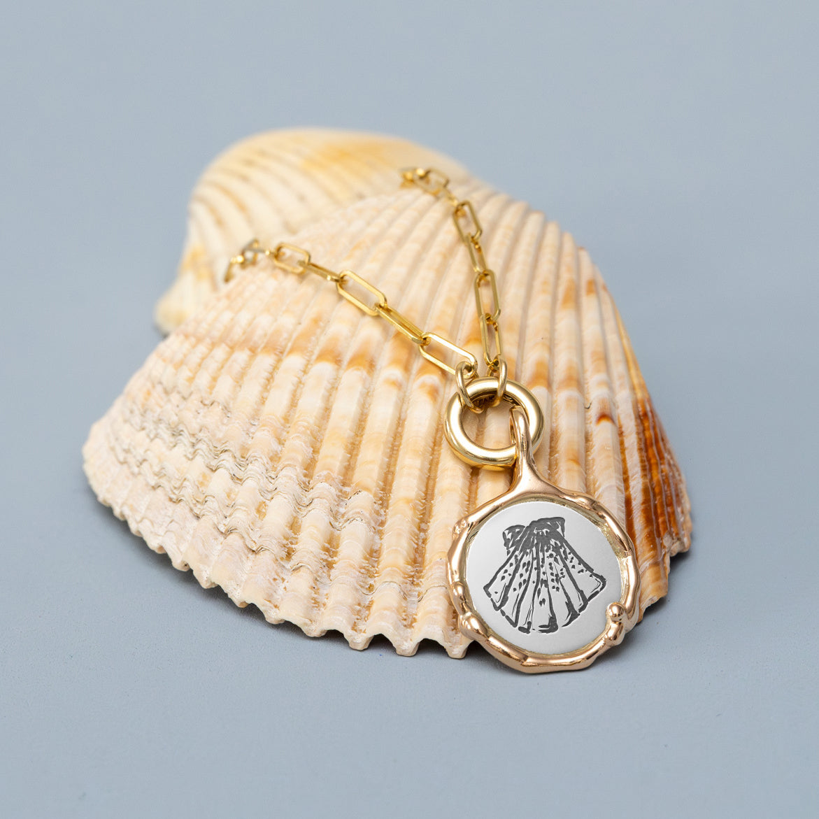 Marin Medallion - Scallop Shell