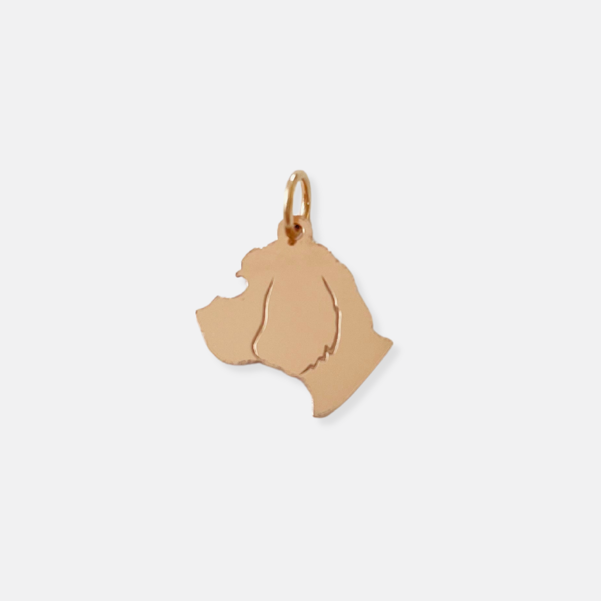 Custom Pet Silhouette Charms (medium) - Vana Chupp Studio