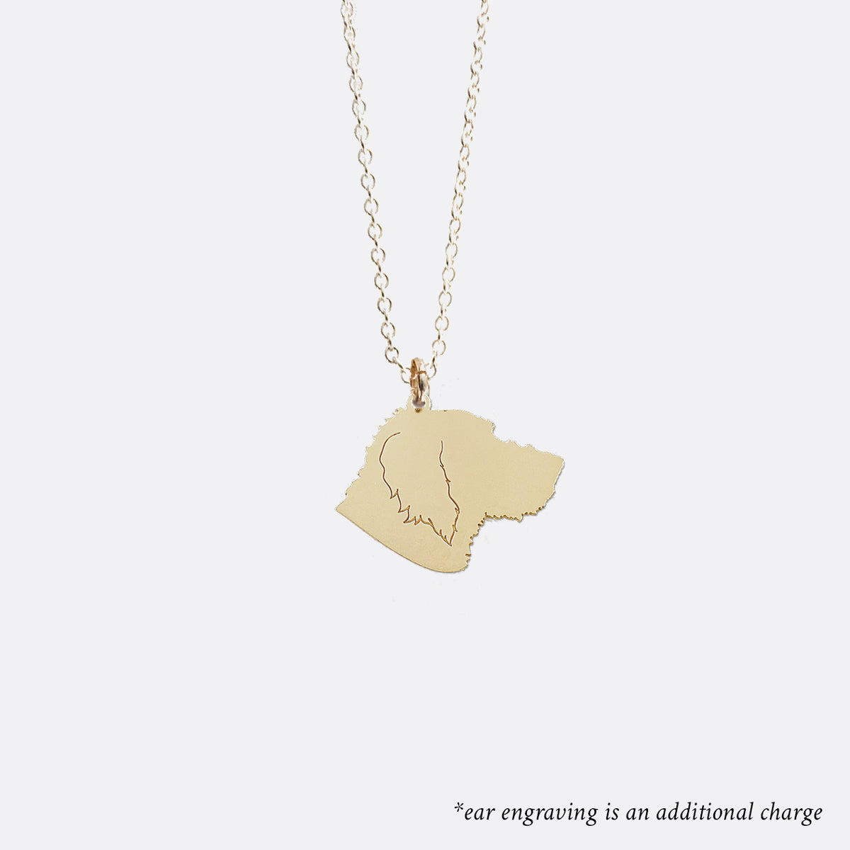 Custom Pet Charm Necklace - Medium - Vana Chupp Studio