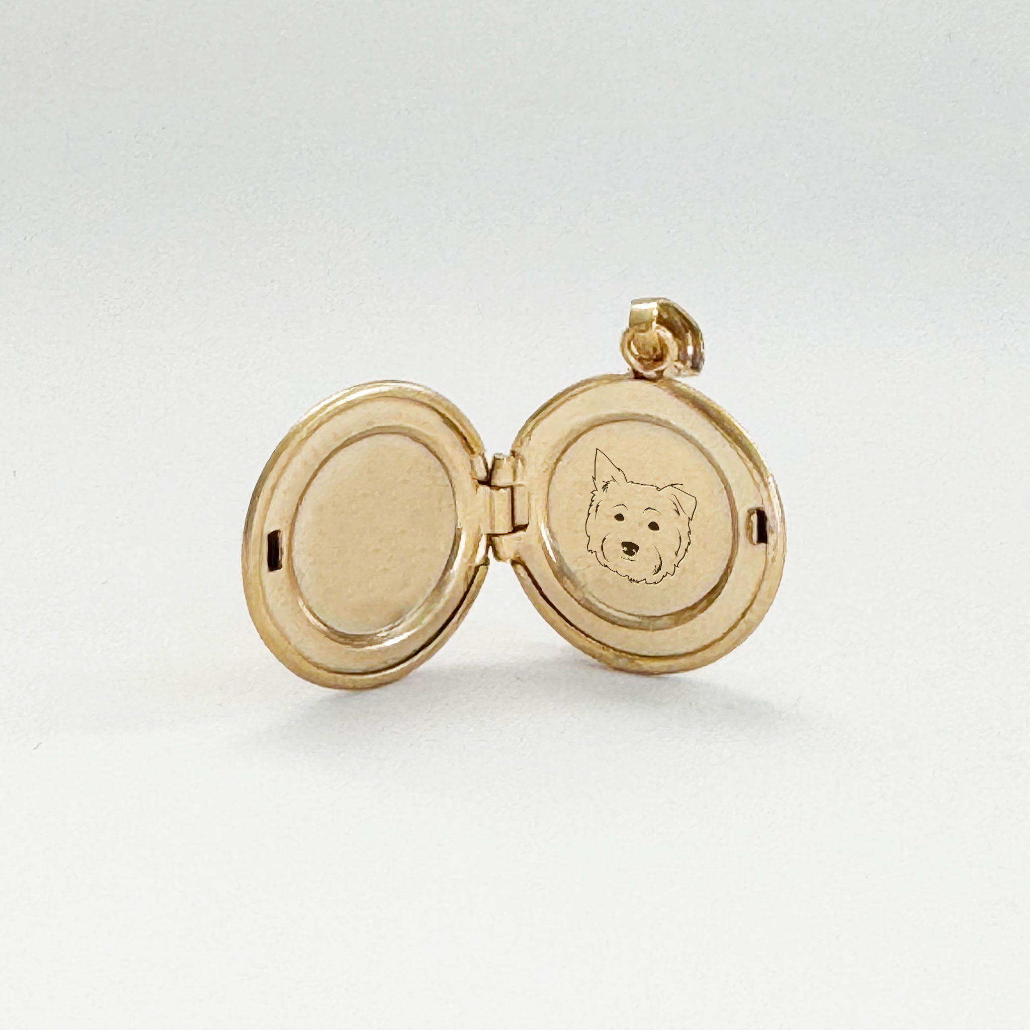 Gold Filled The Petite Silhouette Locket Necklace