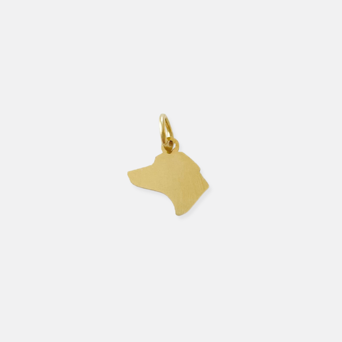 Custom Pet Silhouette Charms (tiny) - Vana Chupp Studio