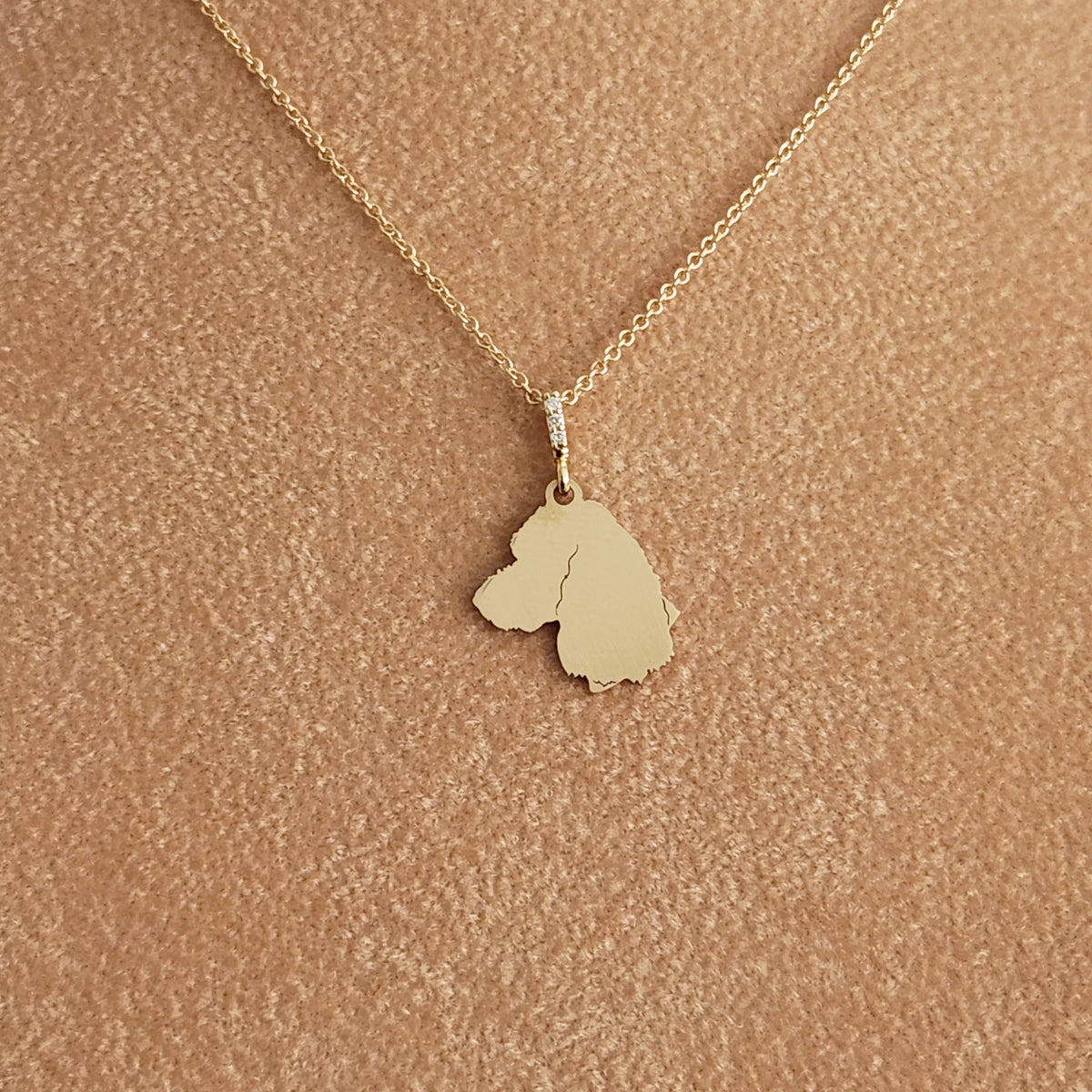 Custom Pet Charm Necklace - Medium - Vana Chupp Studio