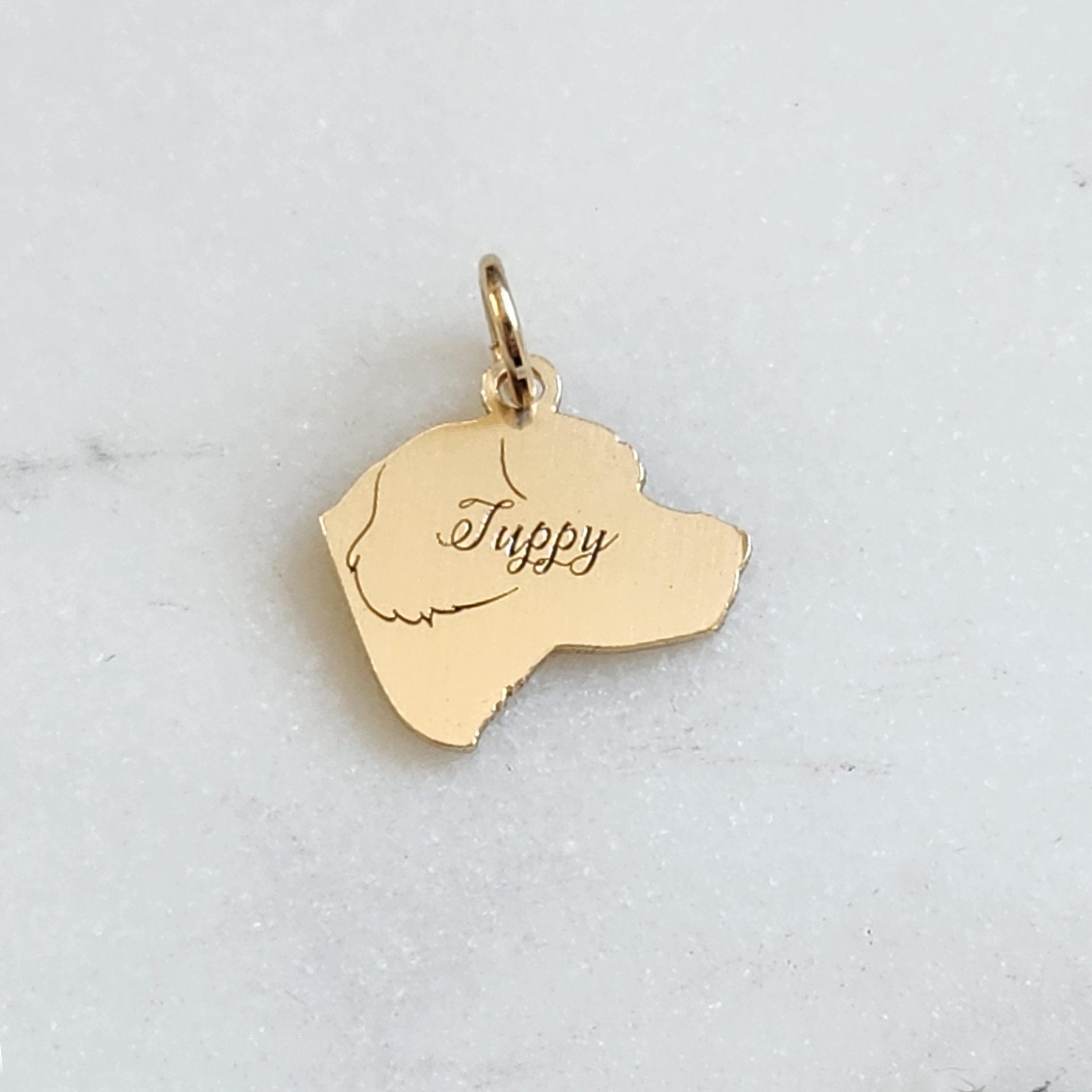 Custom Pet Silhouette Charms (medium)