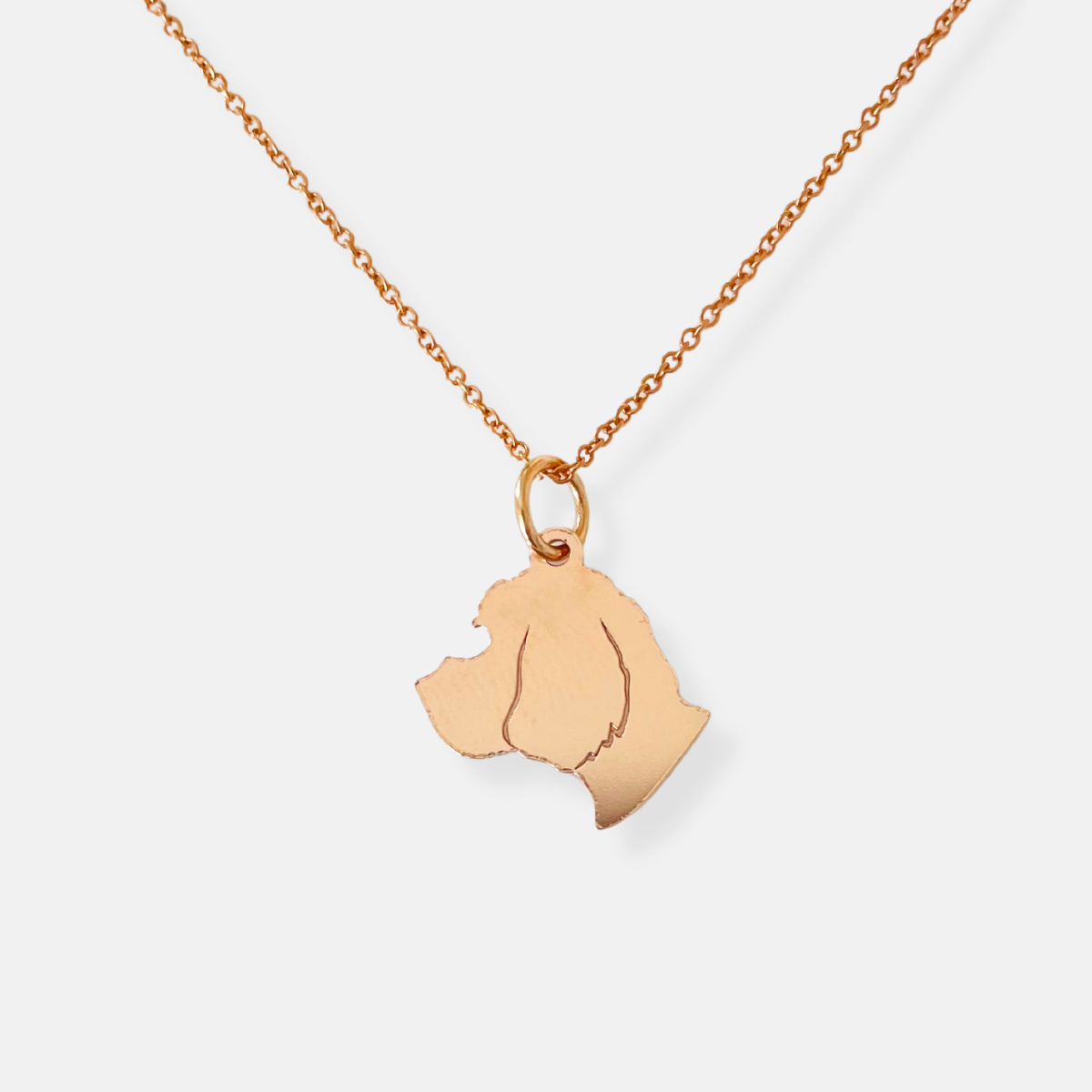 Custom Pet Charm Necklace - Medium - Vana Chupp Studio