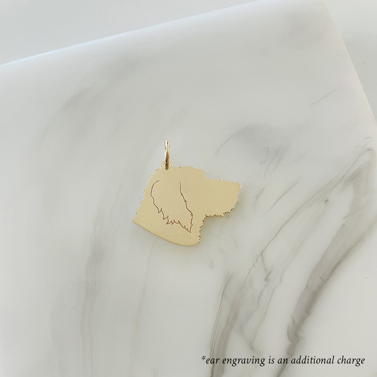 Custom Pet Charm Necklace - Medium - Vana Chupp Studio