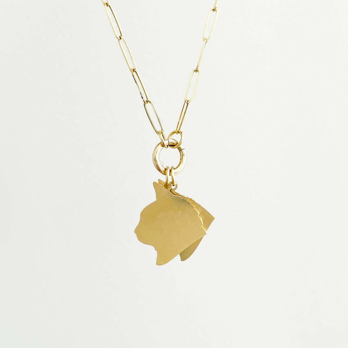 Custom Pet Charm Necklace - Large